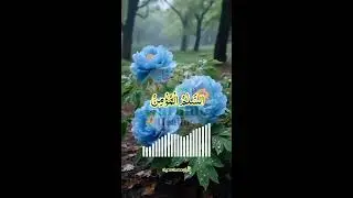 Surah Al-Hashr Last 3 Ayat | سورۃ الحشر کی آخری تین آیات
Powerful Last