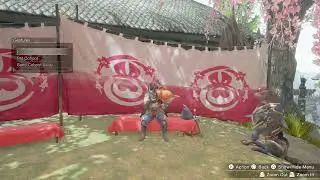 Monster hunters rise finale