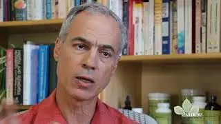 Herbal Formulations With Multiple Botanicals vs Single Ingredient Supplements