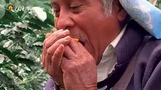¡ASÍ ES UN DÍA DE COSECHA EN LA FINCA CAFETALERA VÁZQUEZ! 👨🏻‍🌾☕️🌱