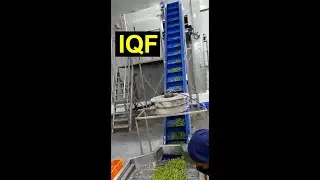 iqf | iqf machine | iqf freezer | iqf technology | iqf fruit processing #shorts #iqf #iqfmachine