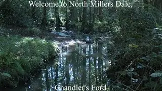 Welcome to North Millers Dale, Chandler's Ford