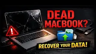 Как восстановить данные с неработающего или сломанного MacBook (Air и Pro)