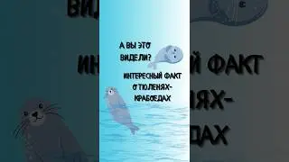 Я сначала не поверила 😱 #знания #факты #интересно #необычно