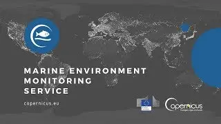 Copernicus Marine Environment Monitoring Service: Statistics Derived from Targeted Products