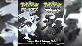 Lostlorn Forest - Pok&eacute;mon Black & White