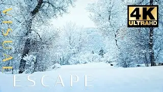 Relaxing Sounds of Winter | Snowy Field and Meadow in 4K with Wind Sounds to Relax, Sleep, Study