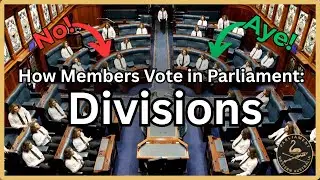 How Members Vote in Parliament: Divisions