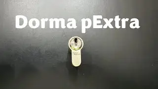 [423] Dorma pExtra Picked and Gutted
