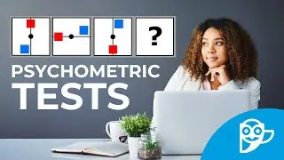 What is a Psychometric Test?