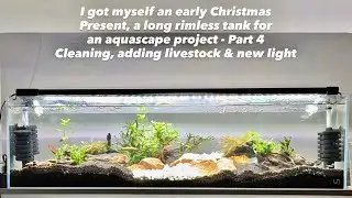 Early Christmas Gift, a long rimless aquascape project Part 4 Cleaning, adding livestock & new light