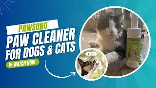 Cleaning Dirty Paws Fast with Pawsono Paw Cleanser