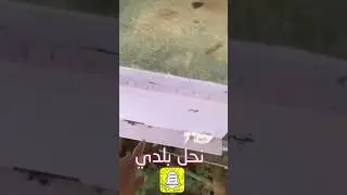 طريقة سهلة لرفع دور ثاني لخلية بلديه قوية( الجزء الاول)
