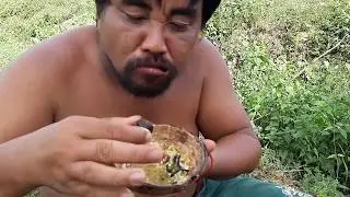 Primitive Technology - find black spider meet scorpion  - take cook  eating delicious