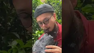 Charcoal Leaves That Heal 🌿