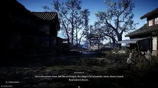 Where Winds Meet   : Heart of The Healer (multiplayer)