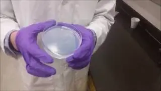 Preparation of a Sol Gel