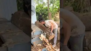 Big wood is quite heavy when loaded into the machine #veneers #plywood #machine #wood