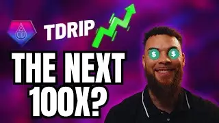 This Could Be The Next 100X in Crypto - tDRIP (Pulse Drip)