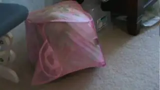 princess ella stuck
