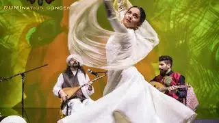 Hooman Shirali - Oud and Dotar and Tabla Concert هومن شیرعلی