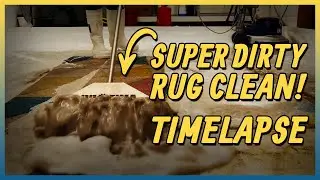 5 Minute Satisfying Time Lapse Carpet Clean