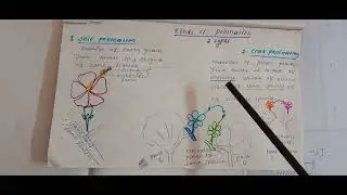Types of pollination 