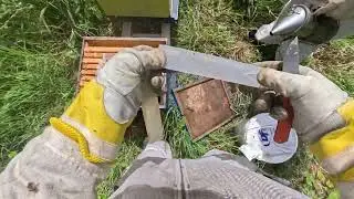 Инспекция ульев Four Hill 28 ноября 2025 г.