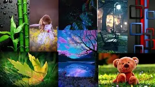 how to download snapseed full hd backgrounds free 100%😲 download and photo editing tutorial