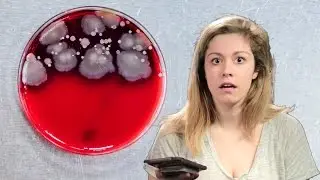 We Tested Our Phones For Diseases