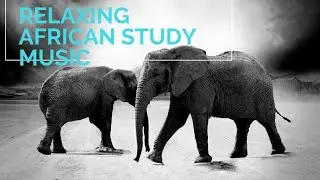 Relaxing African Study Music: Instrumental Music Relax Mind Body, Positive Study, Background