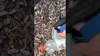 🐶🚮😻 #trashyfinds #doggieshorts #dogwalking #pickuptrash #jackrussellterrier #dailyvlog #trash