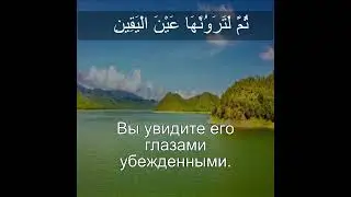 Сура Ат-Такатур 102:8 |Чтение Корана с русским переводом| Quran Translation At-Takathur التكاثر