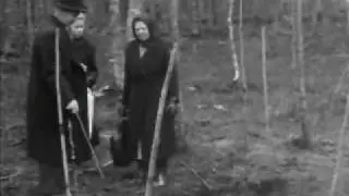 Kyllikki Saari