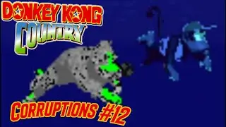 Donkey Kong Country Corruptions #12 (The Worst Corruption Video Ever)