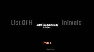 List Of Haram Pets Animals In Islam (Part 1)... #shorts #ytshorts #viralshorts