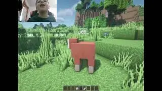 Minecraft Hacks - Rainbow sheep, Debug stick and more!
