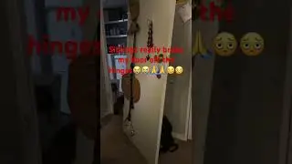 Ts sucks🦟 #ytshorts #siblings #goonzquad