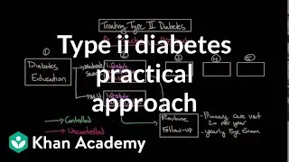 Treating type II diabetes - A practical approach | NCLEX-RN | Khan Academy
