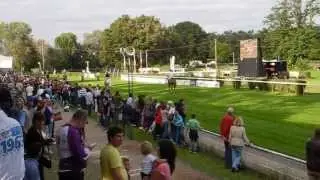 Altmarkhofs Grisander beim 6. Trakehner Rennen in Mannheim 2013