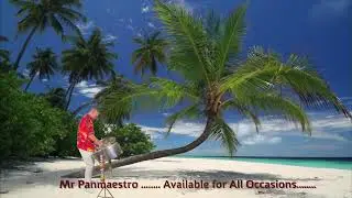 Mr Panmaestro Demo Yellow Bird  FB   HD 1080p
