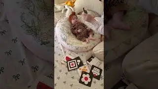 宝宝15天就可以看黑白卡了 剌激视觉神经发育 从而提高认知能力 妈妈会陪你从黑白到彩色一起认识这个世界#黑白卡训练 #母婴好物