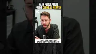 Pain Perception from Cluneal Nerves