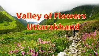 Amazing Valley of Flowers Uttarakhand | Must See The Beauty of Valley