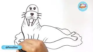 How to draw a Walrus on the iceberg Step by step - Easy Drawing  - Walrus Drawing tutorial