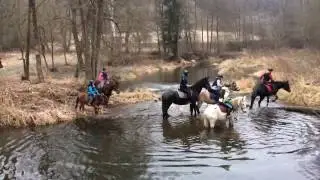 Jdeme přes řeku aneb proč se někteří koně bojí vstoupit do vody?