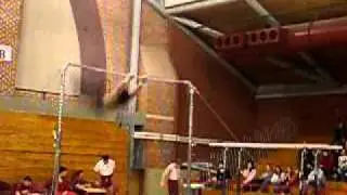Jason Shen High Bar 2007
