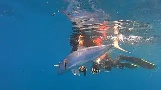 Spearfishing | Methana - &Psi;&alpha;&rho;&omicron;&nu;&tau;&omicron;ύ&phi;&epsilon;&kappa;&omicron; &sigma;&tau;&alpha; &Mu;έ&theta;&alpha;&nu;&alpha; ✅