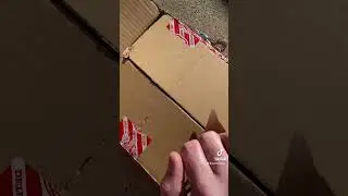 Thunder Trucks Unboxing