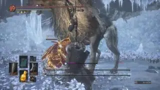 Dark Souls 3 - Champion's Gravetender & Gravetender Greatwolf co-op boss fight NG+3
